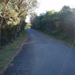 Old Fort Rd (57509)