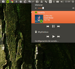 Instalar Spotify en Ubuntu Trusty Tahr
