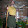 Peter Ellis Peter Ellis's profile photo