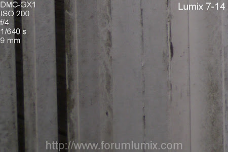 Lumix 7-14 vs Olympus 9-18 (monture µ4/3) Cropcote02_1060615
