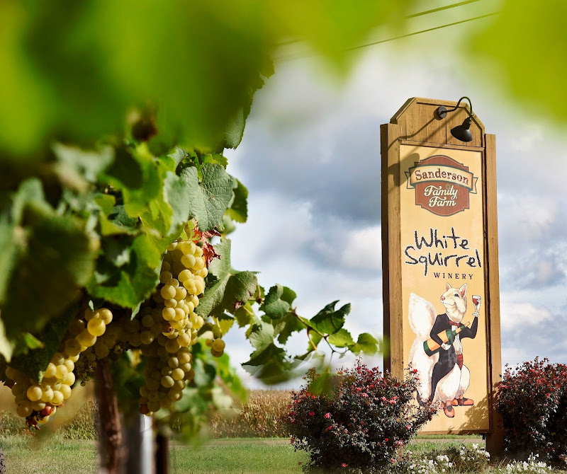 Main image of White Squirrel Winery
