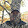 Tony Walters Tony Walters's profile photo