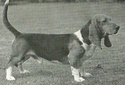 basset+1964.jpg