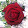 Krissa Khumma Krissa Khumma's profile photo