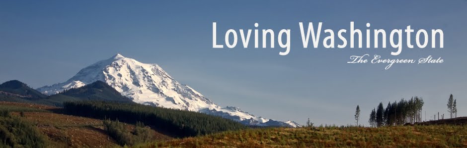 Loving Washington State