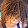 Vonda Broughton Vonda Broughton's profile photo