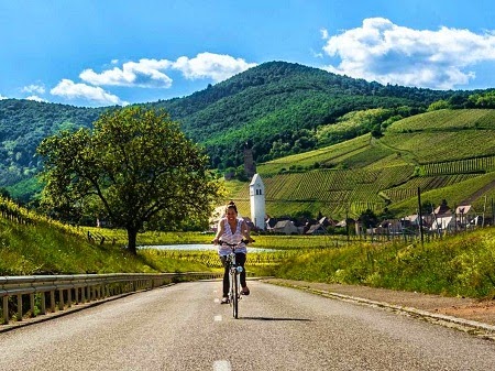 Danika đạp xe đạp giữa một vùng trồng nho ở Pháp.