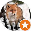 Fox Loose