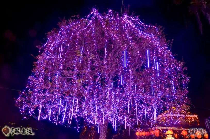夢幻紫光樹