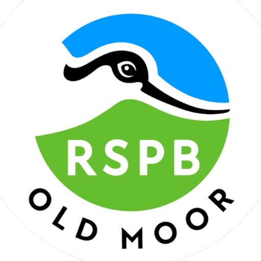 RSPB Dearne Valley - Old Moor logo
