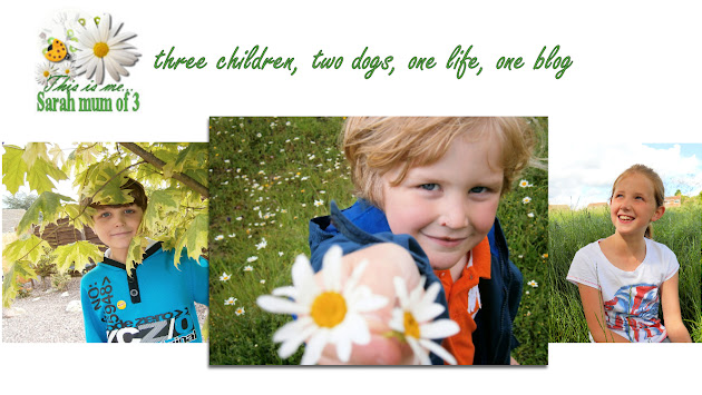 Cover photo