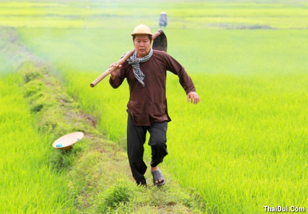 Thơ vui chế Chồng ngoại tình, Vợ lăng nhăng (có ảnh minh họa) thơ vui tham giàu phụ khó