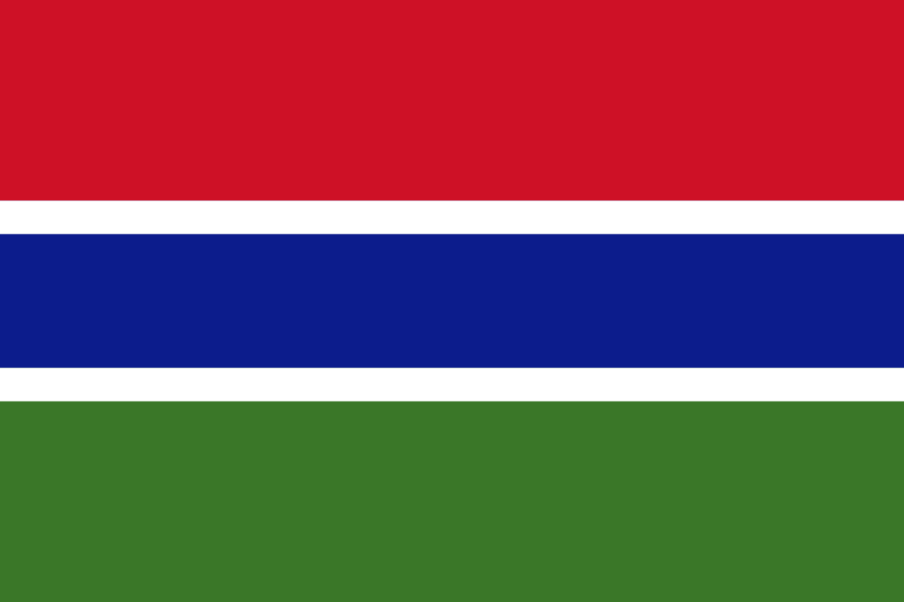 Image result for gambia 1965 flag