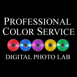 Professional Color Service logo