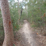 Walking track east of Fairylands (67263)