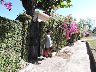 Photos of Rock Villas, Jamaica Vacation Rentals