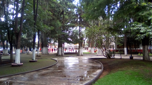 Parque Alameda, Tenancingo del Calle Bulevar Narciso Bassols, Tenancingo de Degollado, 52400 Tenancingo de Degollado, Méx., México, Actividades recreativas | TLAX