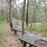 Old Picnic Table and bench (228559)