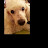 Munrith Longe avatar image
