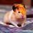 Helen Hosein avatar image