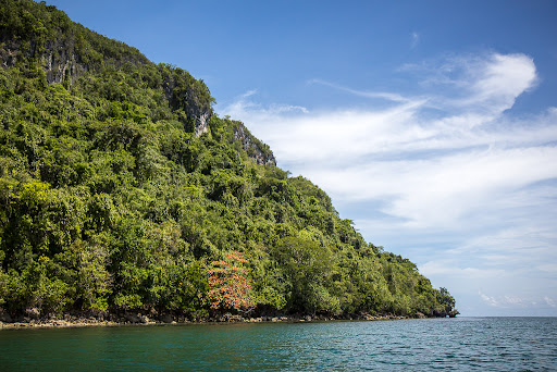 Tabon Caves