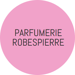 INSTITUT ROBESPIERRE logo