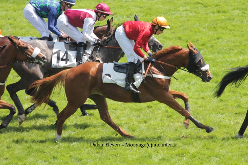 Photos Auteuil 17-05-2015 Journée du Grand Steeple IMG_9978