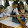 Pansaridh Pengubon Pansaridh Pengubon's profile photo