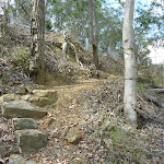 Steps near Bumble Hill Road (366986)