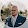 Joakim Saettem Joakim Saettem's profile photo