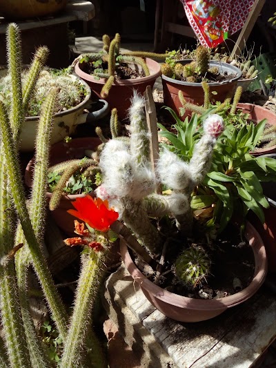 Photos of Rancho Alegria