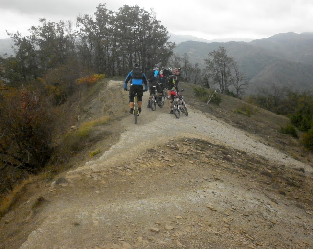 P1000150.JPG