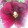 Klariska81 Klariska81's profile photo
