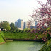Cherry Blossoms and Jogging in Tokyo: The Imperial Palace (皇居)