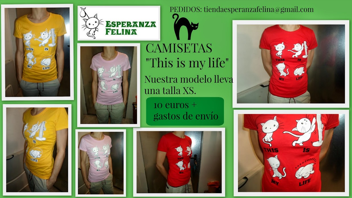 Preciosas Camisetas Solidarias - Página 9 CAMISETAS