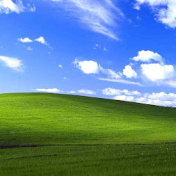 posted image