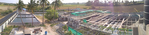 Freshery Farms Aquaponics, Freshry Farms, No 46/1A2A, Valathodu Post, Salavakkam Via, Vinnamangalam, Tamil Nadu 603107, India, Farm, state TN