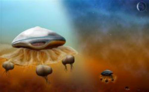 Scientist Claims Aliens Exist In The Form Of Jellyfish