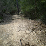 Smiths Creek Trail near Terrey Hills (27458)