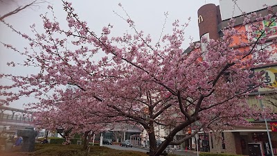 Photos of Toyoko Inn Fussa Station East
