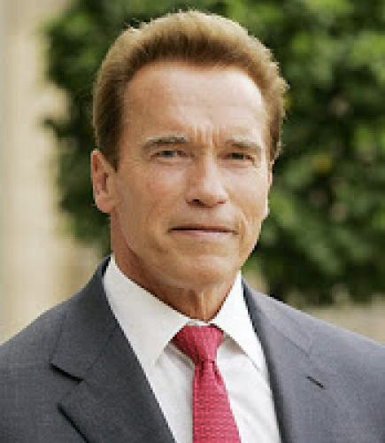 Schwarzenegger Asks Regulators To Delay 33 Rps