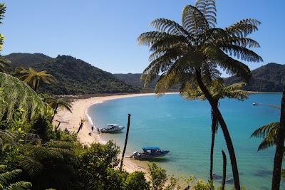 Photos of Marahau Water Taxis