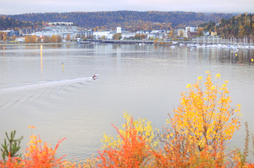 DSC_0721.JPG