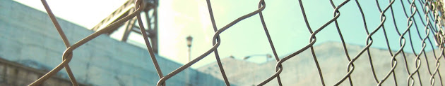 Cover photo
