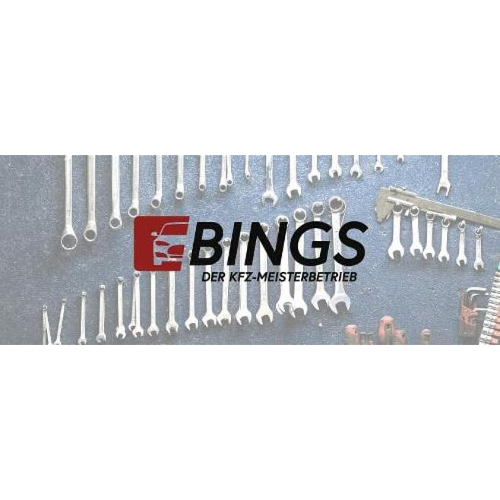 Leo Bings logo