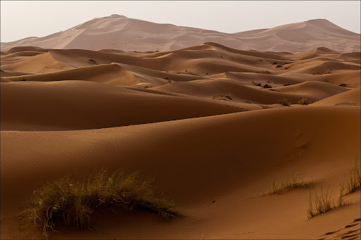 Марокко. Сахара