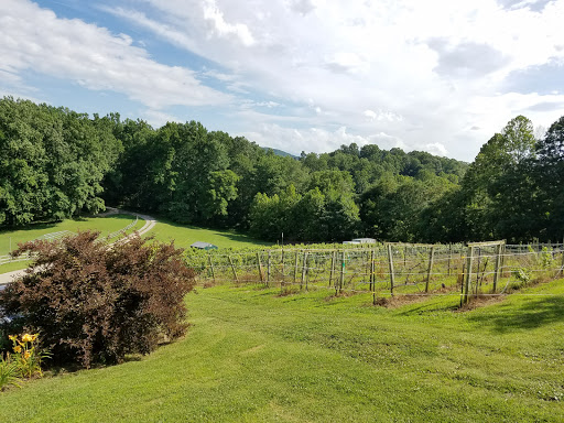 Winery «Fincastle Vineyard & Winery», reviews and photos, 203 Maple Ridge Ln, Fincastle, VA 24090, USA