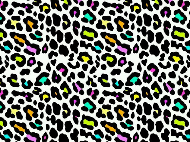 Cover photo