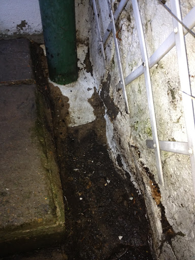 Cruddy damp proofing or normal drying?