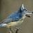 Neil Whitelaw avatar image